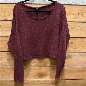 American Eagle Outfitters Maroon Knit Crop Top